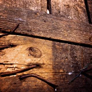 Autumn rustic wallpaper