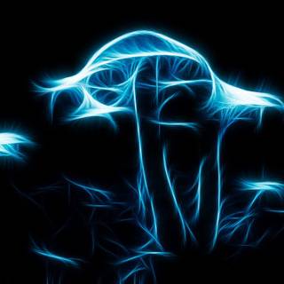 Psilocybin wallpaper