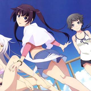 Owarimonogatari wallpaper