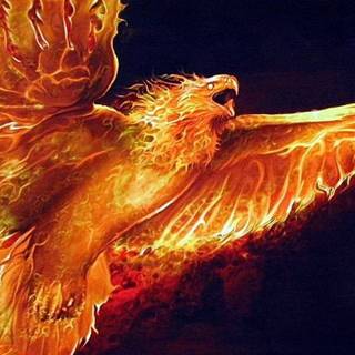 Desktop fire wallpaper