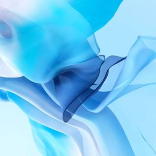 2021 iPhone 11 wallpaper