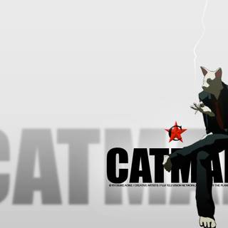 Catman wallpaper
