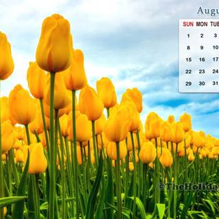 August 2021 calendar wallpaper