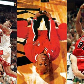 Dennis Rodman desktop wallpaper