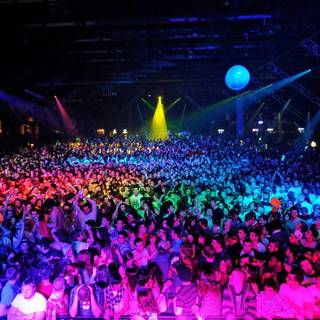 Club Party wallpaper