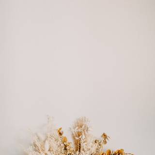 Dried flowers wallpaper