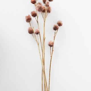 Dried flowers wallpaper