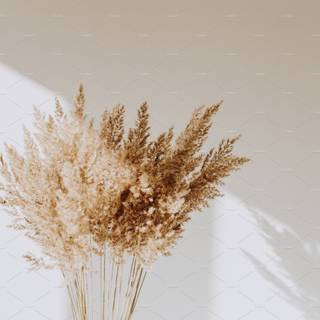 Dried flowers wallpaper
