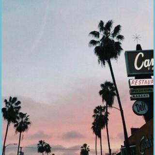 Aesthetic summer vibes wallpaper