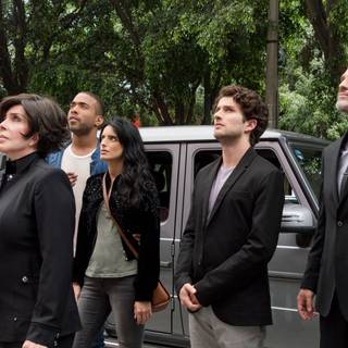 The House of Flowers wallpaper