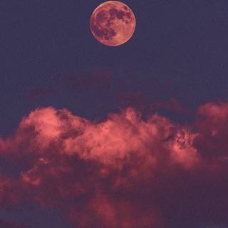 Aesthetics phone 2021 wallpaper