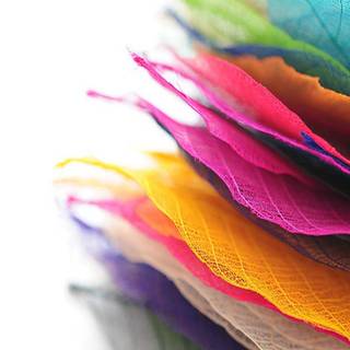 Colorful nature HD mobile wallpaper