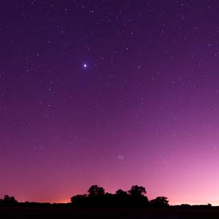 Royal purple wallpaper