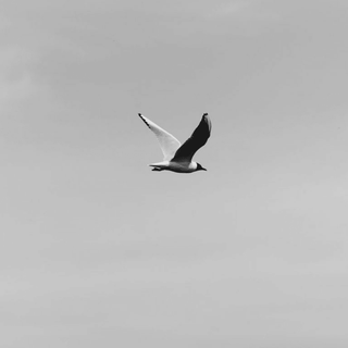 iPhone calm wallpaper