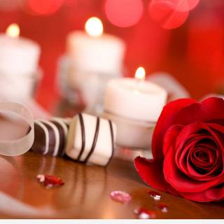 Happy married life wallpaper