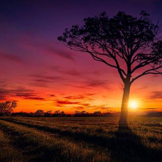 Desktop sunset wallpaper