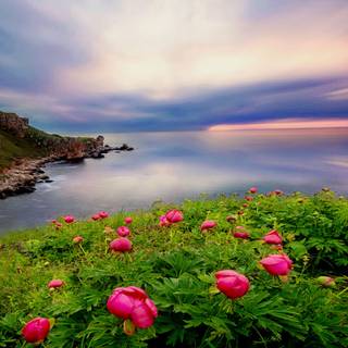 Beautiful landscape desktop HD wallpaper