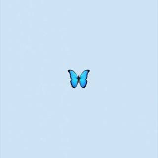 Cute aesthetic butterfly wallpaper