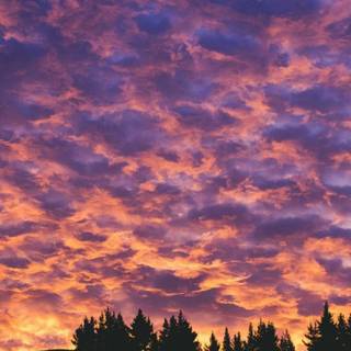 HD landscape aesthetic wallpaper