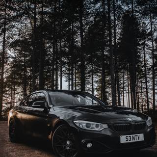 Pimped cars wallpaper