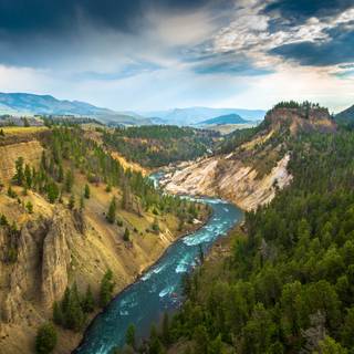 Yellowstone 4K wallpaper