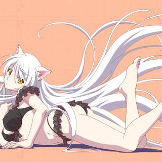 Black Hanekawa wallpaper