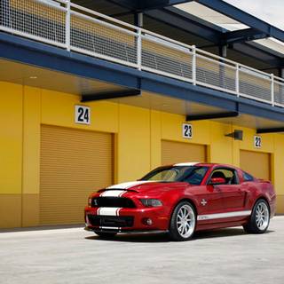 Super Snake wallpaper