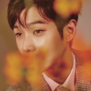 Choi Woo-shik wallpaper