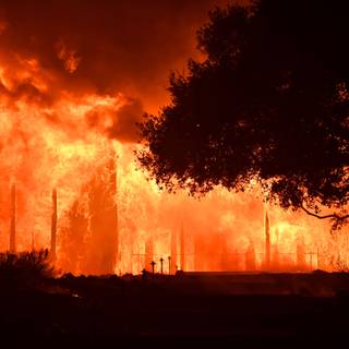 Wildfire 4k wallpaper