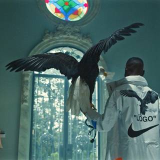 Dave - Funky Friday wallpaper