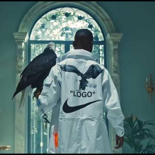 Dave - Funky Friday wallpaper