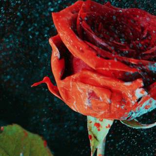 Martin Garrix & David Guetta - So Far Away wallpaper