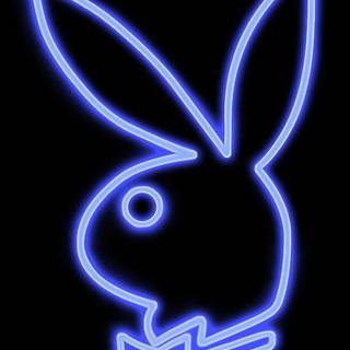 Blue Playboy wallpaper