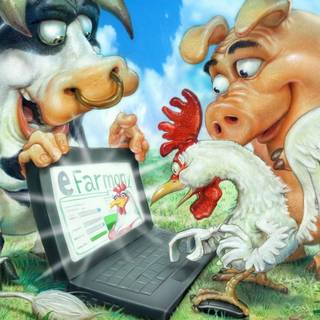 Funny chicken wallpaper