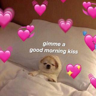 Wholesome memes wallpaper