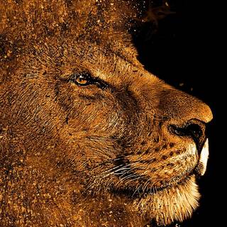 Lion art 4k wallpaper