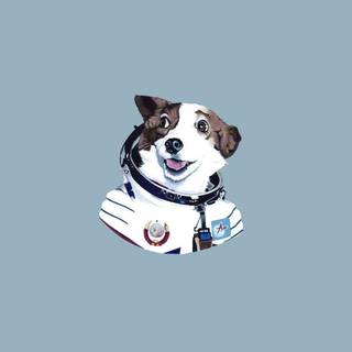 Cartoon dog computer wallpaper