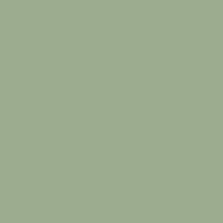 Aesthetic sage green wallpaper