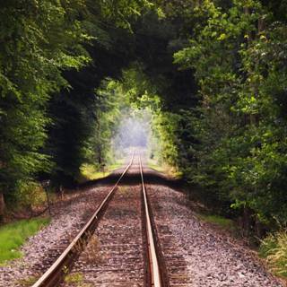 Mobile 4k Ultra HD wallpaper