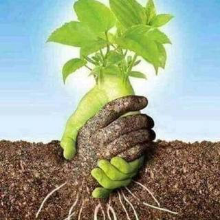 Fertilizer wallpaper