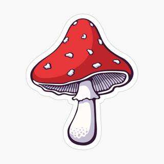 Mushroom PFP wallpaper