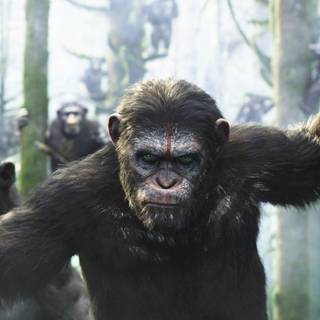Planet of The Apes characters wallpaper