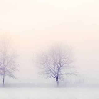 Mac 4k PC white wallpaper