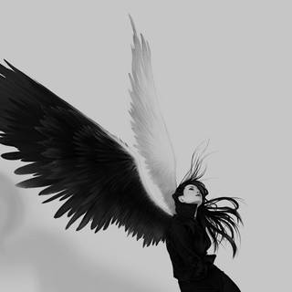 White wings wallpaper
