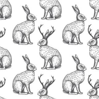 Jackalope wallpaper