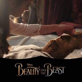 Beauty and The Beast movie desktop wallpaper