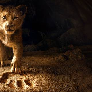 The Lion King movie desktop wallpaper