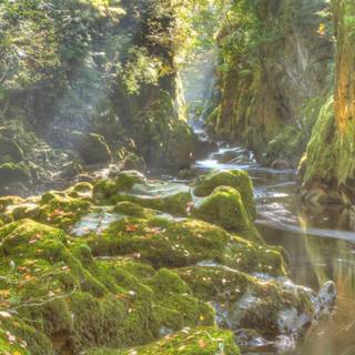 Fairycore desktop wallpaper