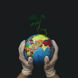 Save The Planet wallpaper