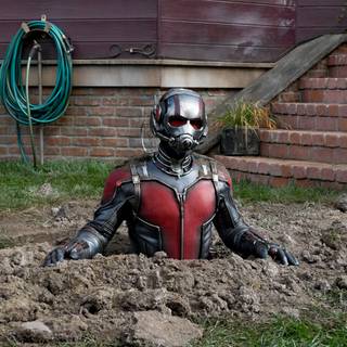 Marvel Cinematic Universe Ant Man wallpaper